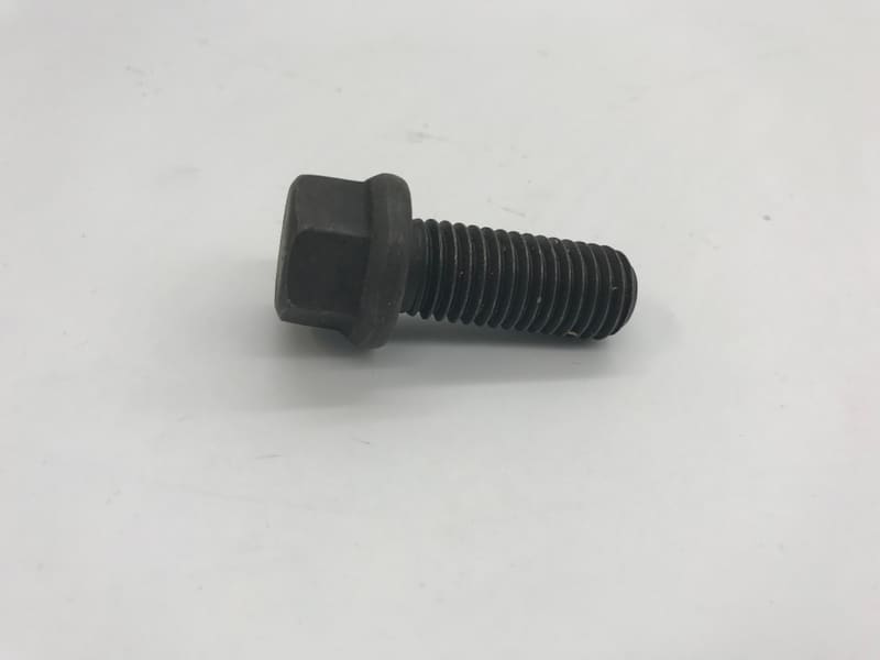 SCREW 1300029