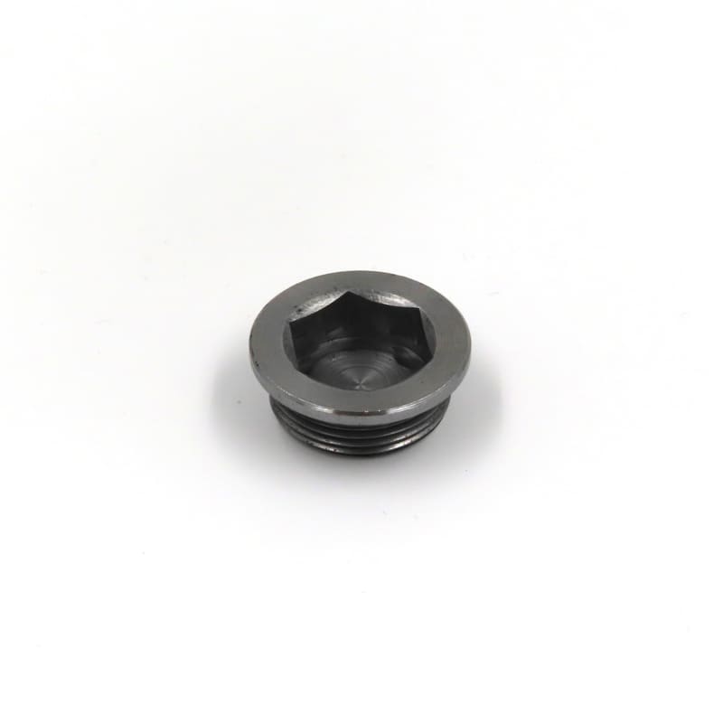 SCREW PLUG 1342955