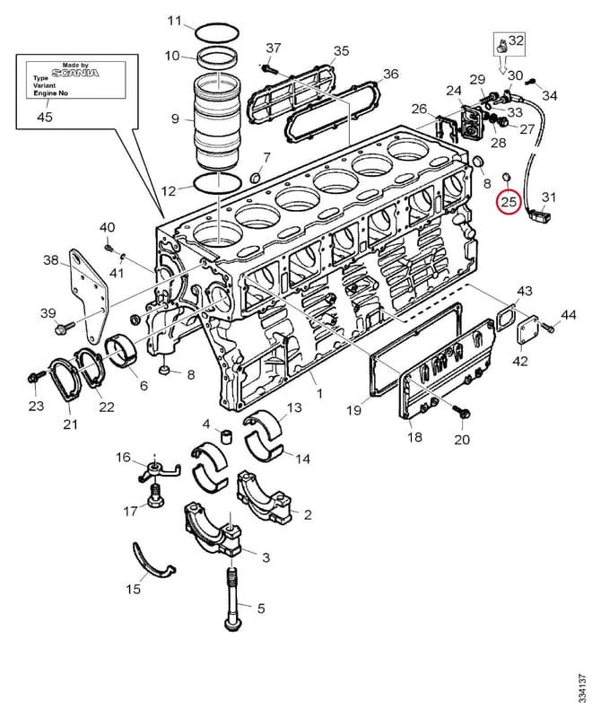 CORE PLUG 1404765