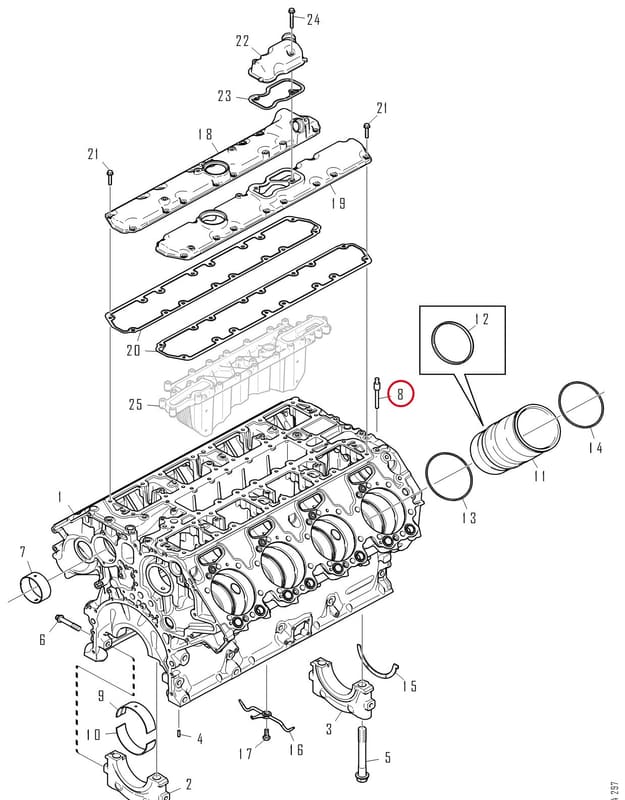 RIVET PLUG 1436193