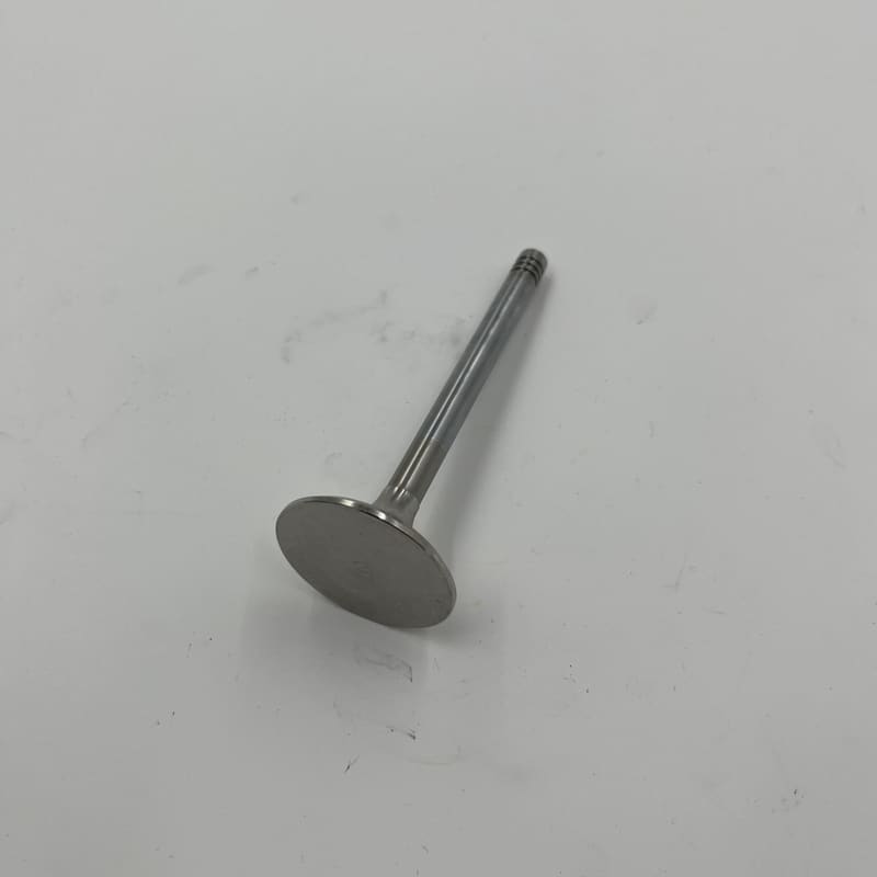 EXHAUST VALVE W105 16205980W