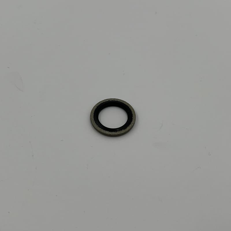 WASHER 16207750V