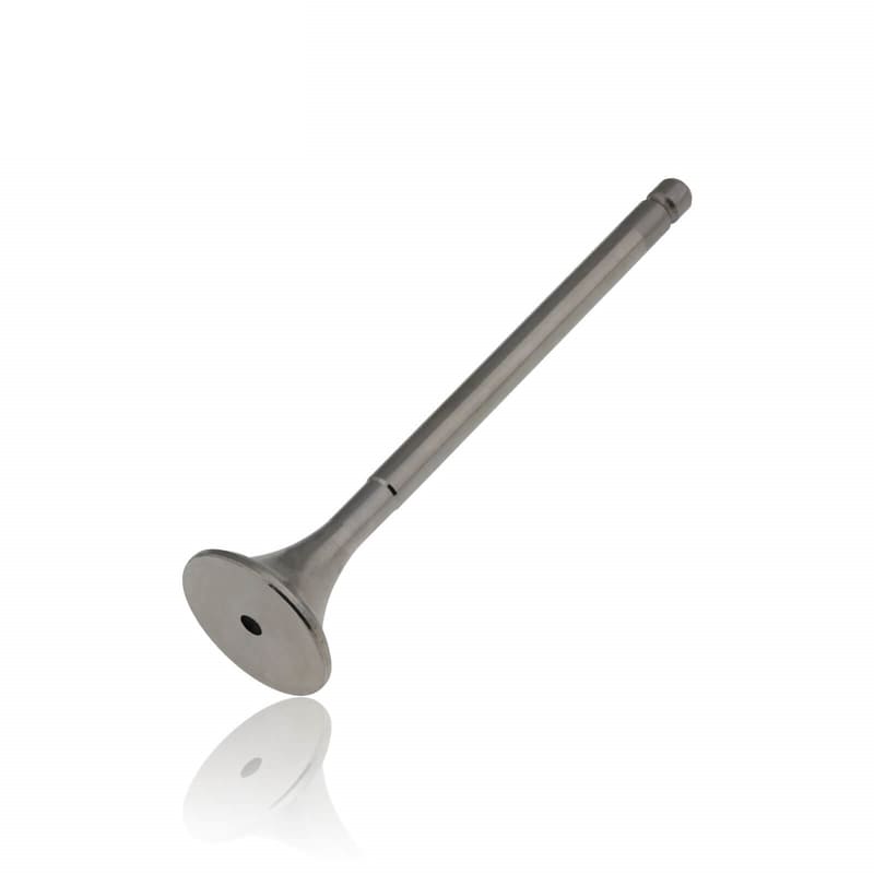 EXHAUST VALVE 1886247