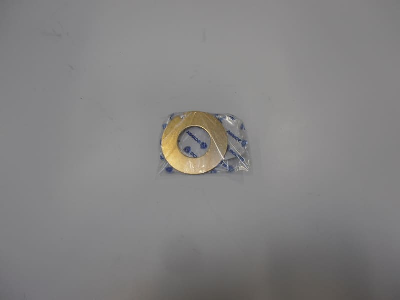 WEAR WASHER 216253