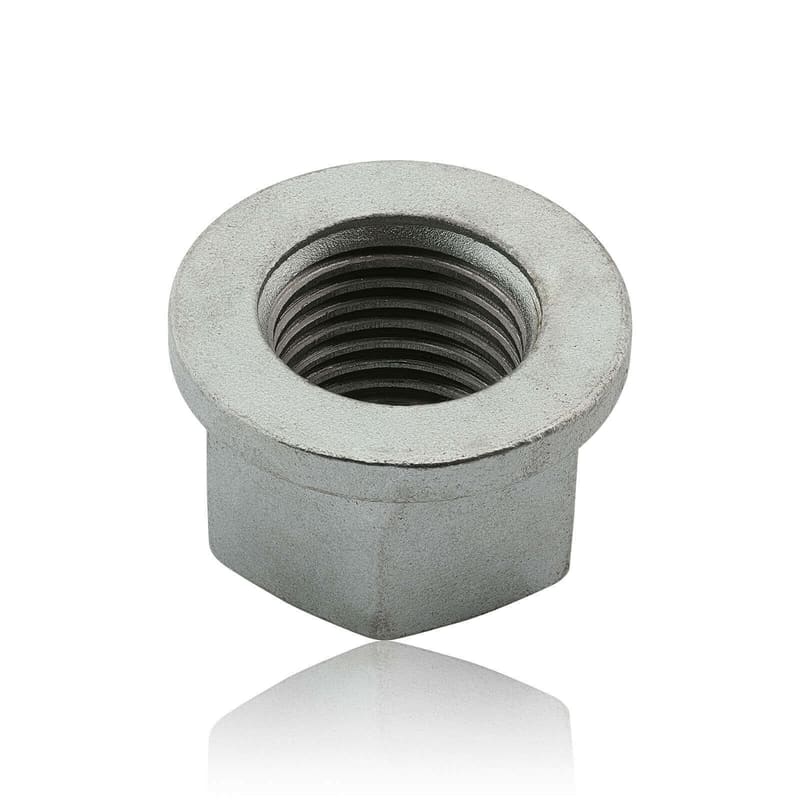 NUT 279574