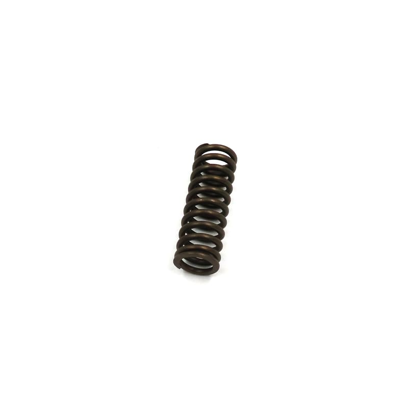 VALVE SPRING 2865746