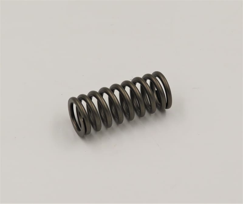 VALVE SPRING 2865748