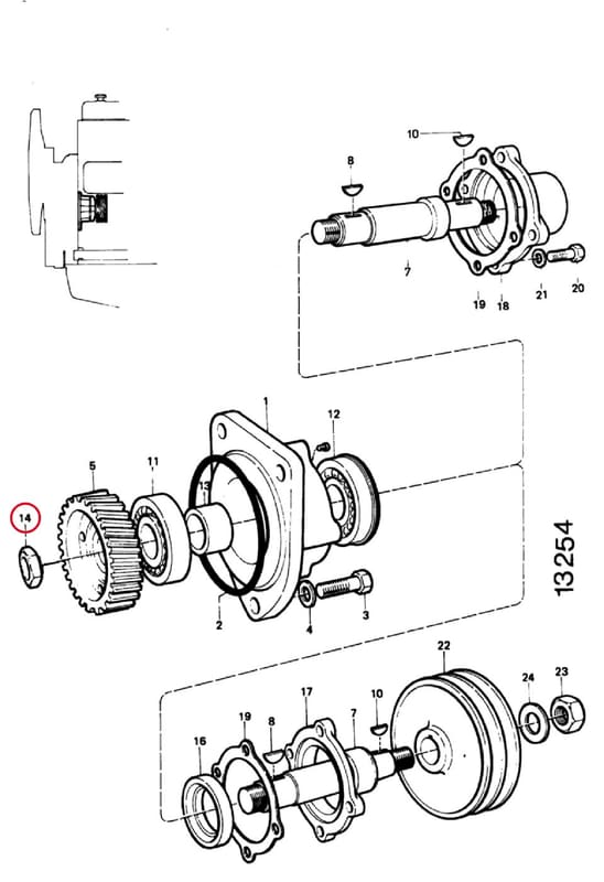 NUT 310304