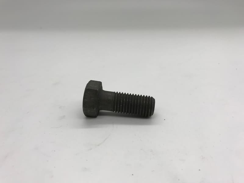 SCREW 312544