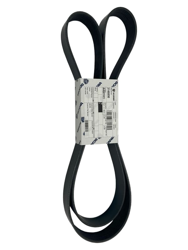 POLY-V-REM 3148890