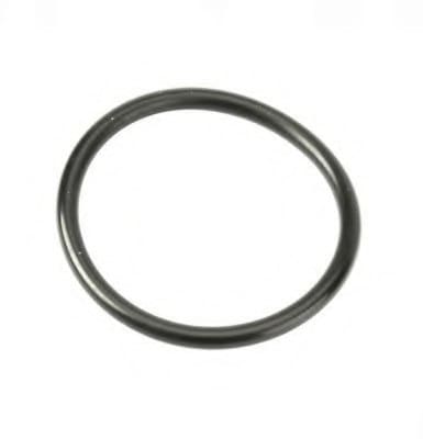 O-RING 810970
