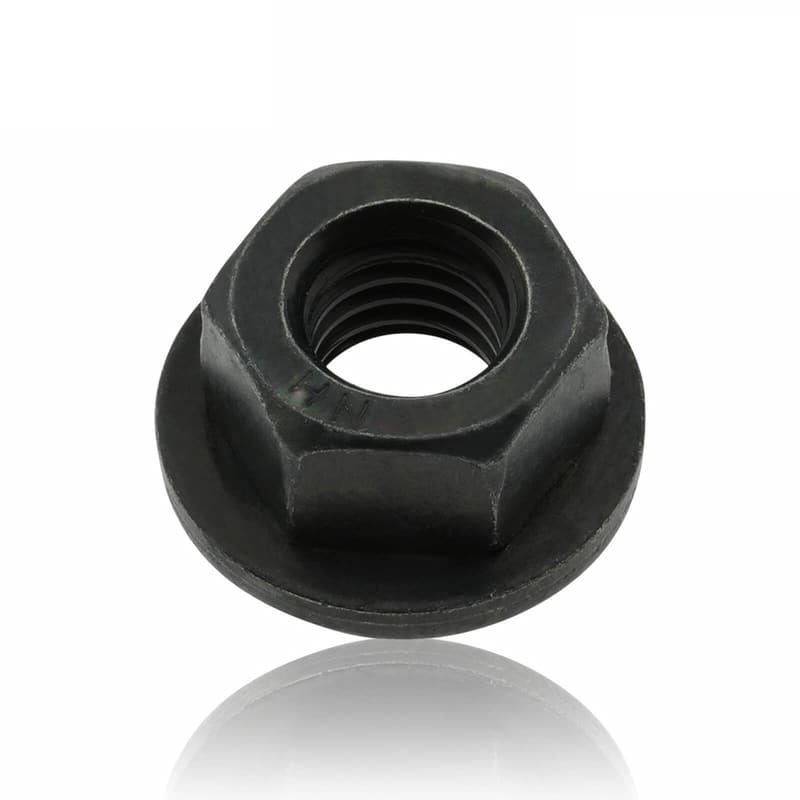 NUT 815132