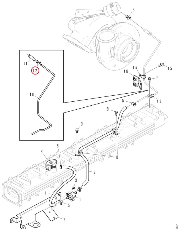 HOSE CLAMP 816108