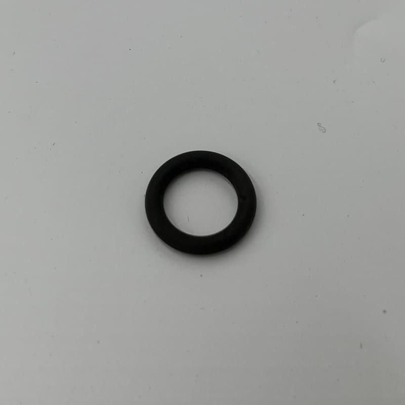 PM2009BH O.RING TD808299