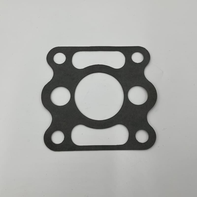 1004249 GASKET PUMP TD810081